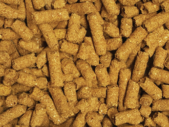 A close up of some food in the shape of tubes